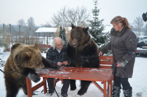 Medvědi Jardy a Radky